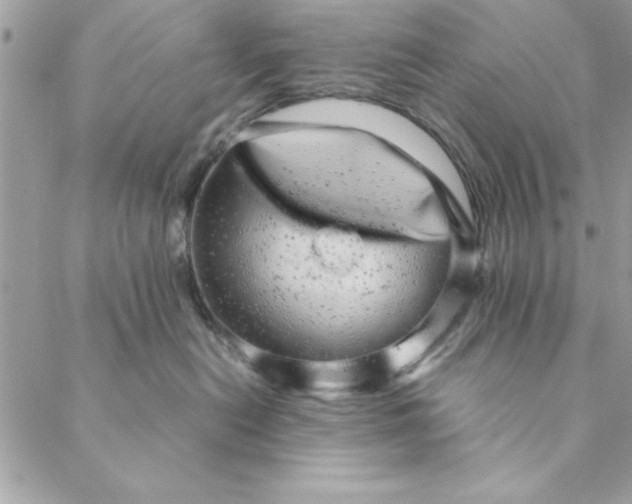 X0000088720478200706141618