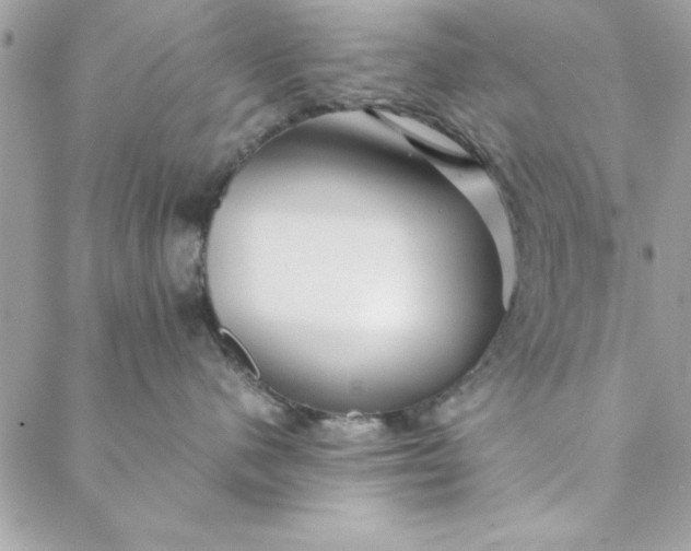 X0000088720480200706141618