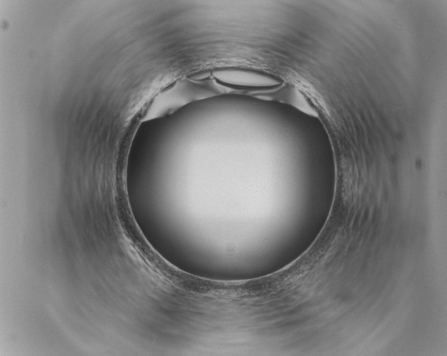 X0000088720482200706141617