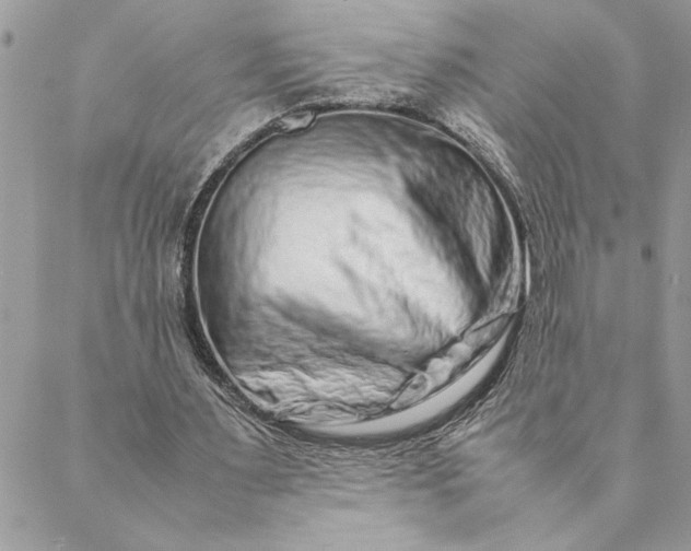 X0000088720483200706141617