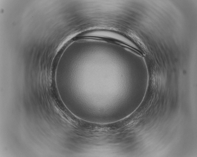 X0000088720484200706141617