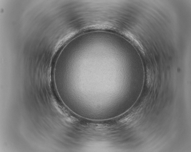 X0000088720486200706141617