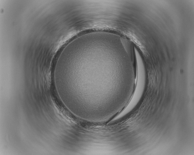 X0000088720488200706141617