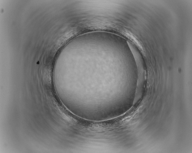 X0000088720489200706141617