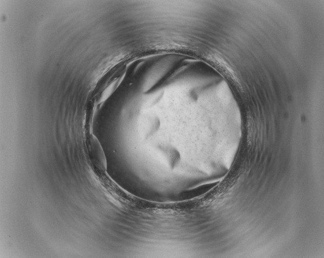 X0000088720490200706141617