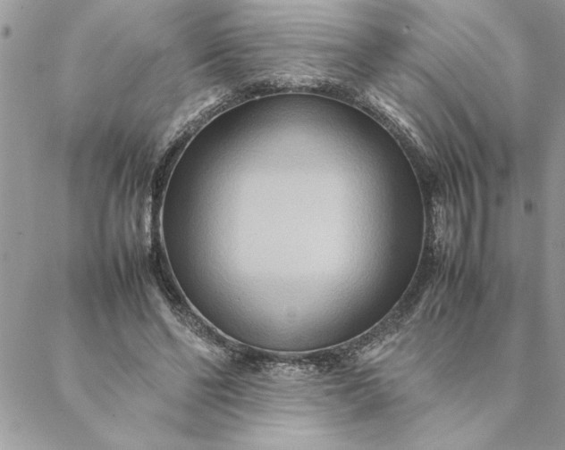 X0000088720494200706141617