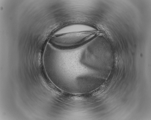 X0000088720498200706141617