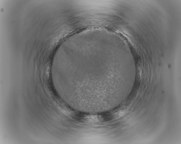 X0000088720499200706141617