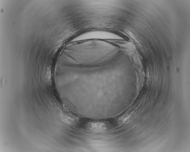 X0000088720500200706141616