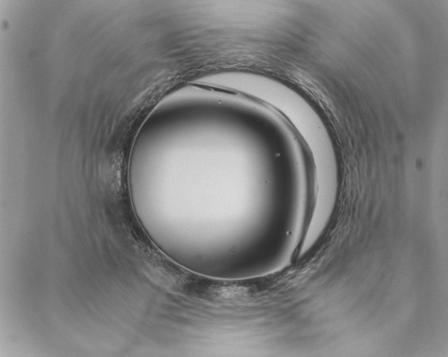 X0000088720501200706141616