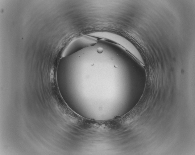 X0000088720502200706141616