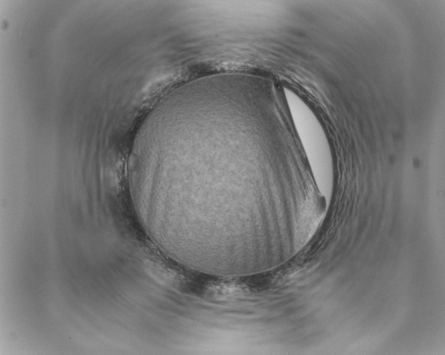 X0000088720503200706141616