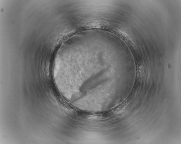 X0000088720504200706141616