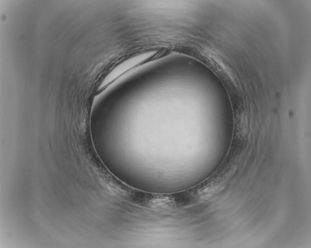 X0000088720505200706141616