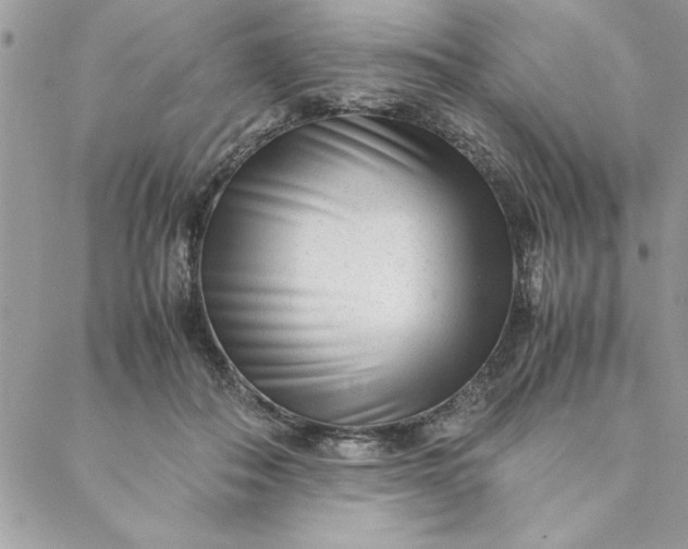 X0000088720506200706141616