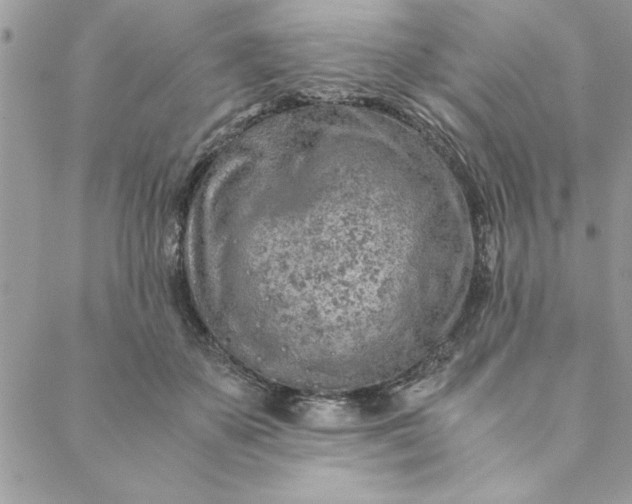 X0000088720507200706141616