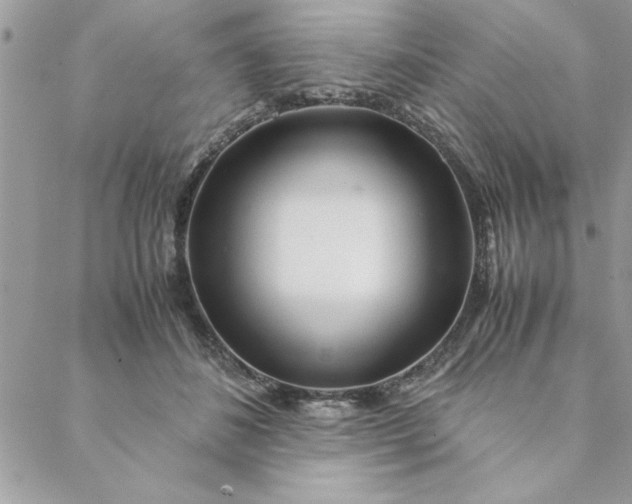 X0000088720508200706141616