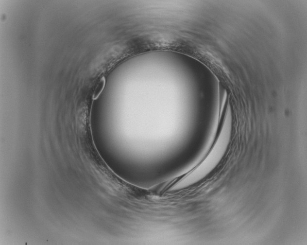 X0000088720509200706141616