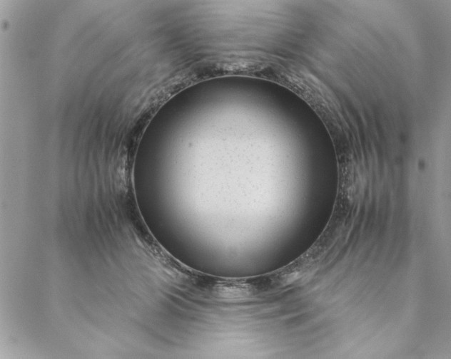 X0000088720510200706141616