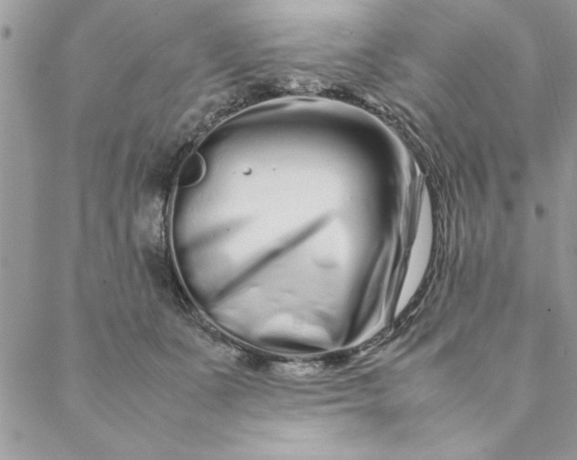 X0000088720511200706141616