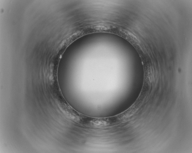 X0000088720512200706141616