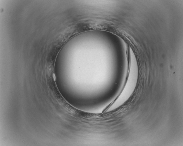 X0000088720513200706141616