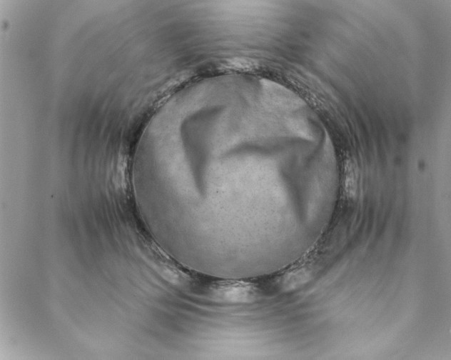 X0000088720514200706141616