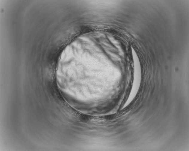 X0000088720515200706141616