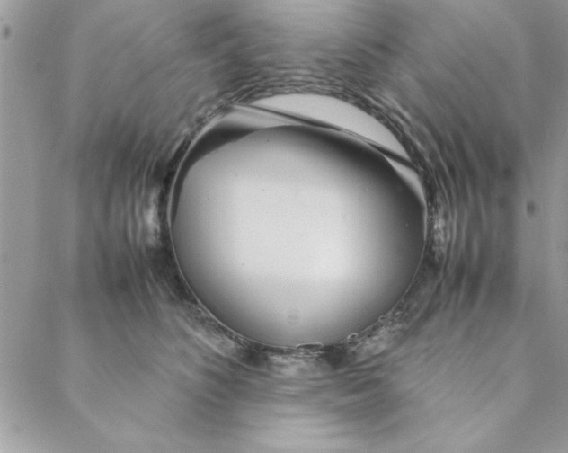 X0000088720516200706141616