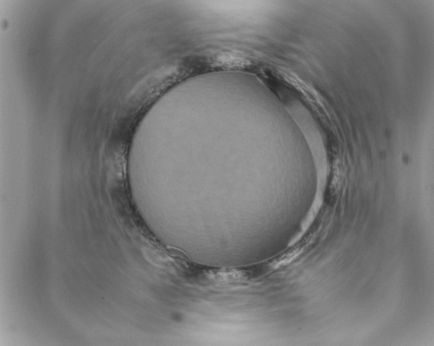 X0000088720517200706141616