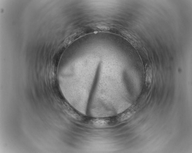 X0000088720518200706141616