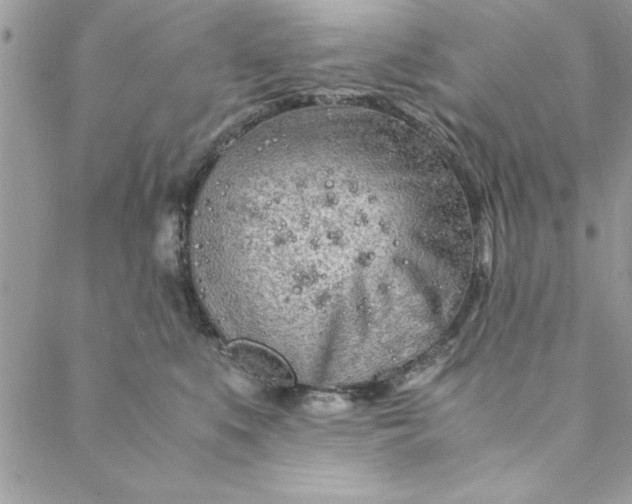 X0000088720519200706141616