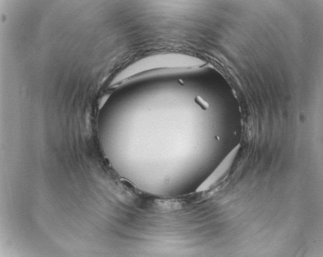 X0000088720520200706141616