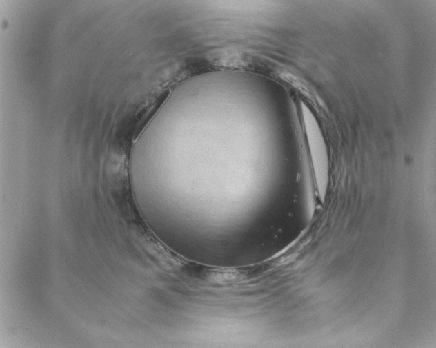 X0000088720521200706141616