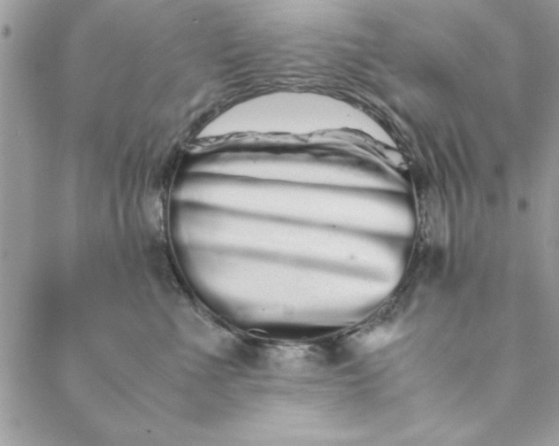 X0000088720523200706141616