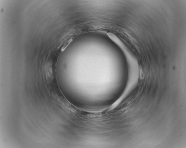 X0000088720524200706141616