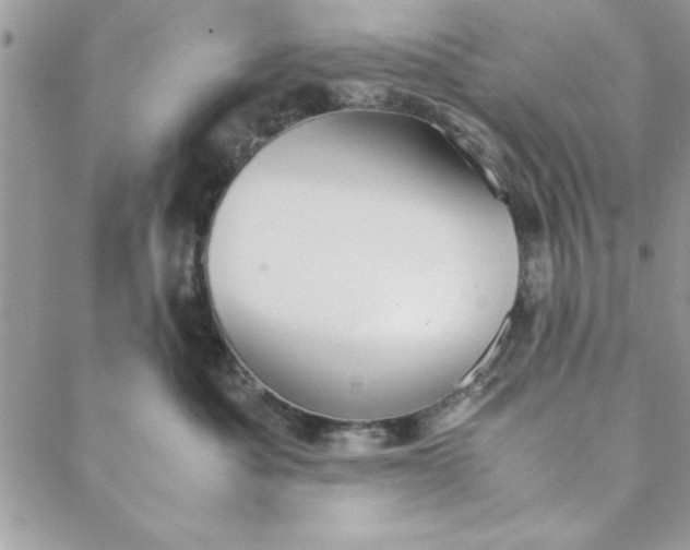 X0000088720525200706141616