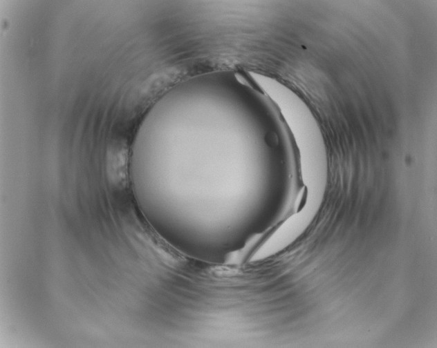 X0000088720526200706141616