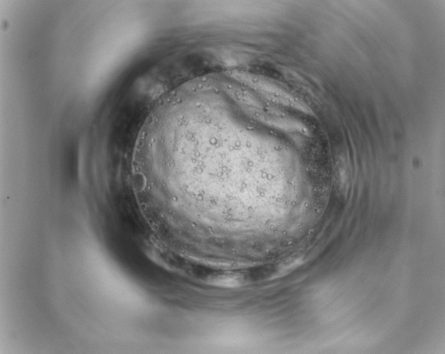 X0000088720527200706141616