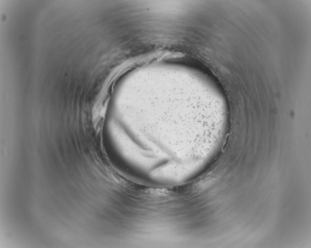 X0000088720528200706141616