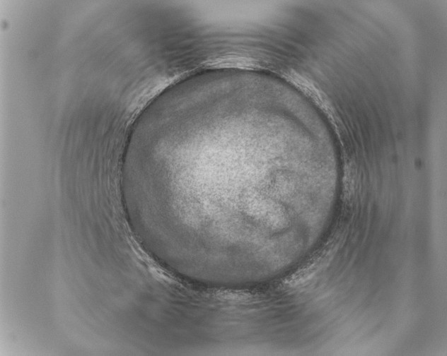 X0000088720529200706141615