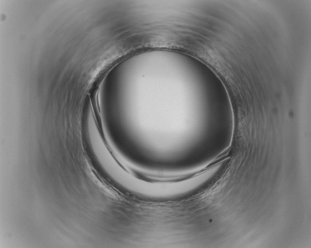 X0000088720530200706141615