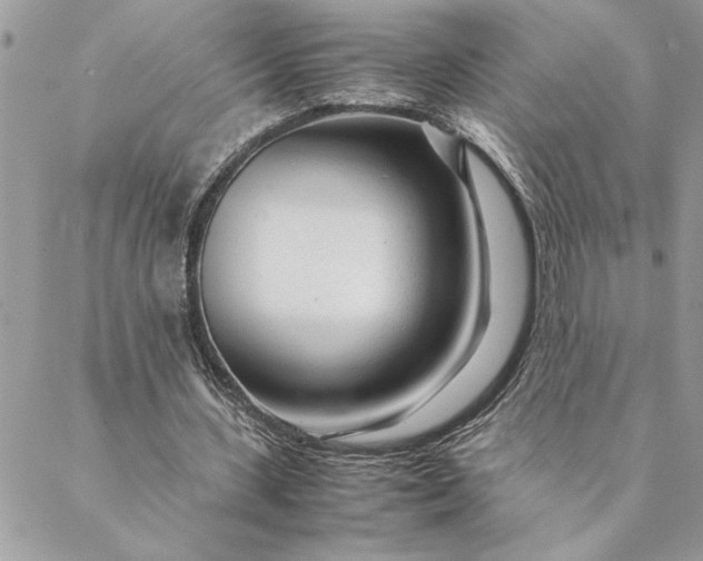 X0000088720531200706141615