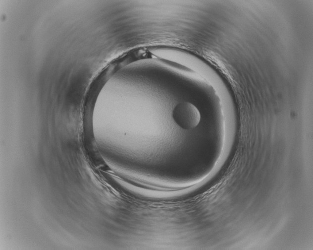 X0000088720532200706141615