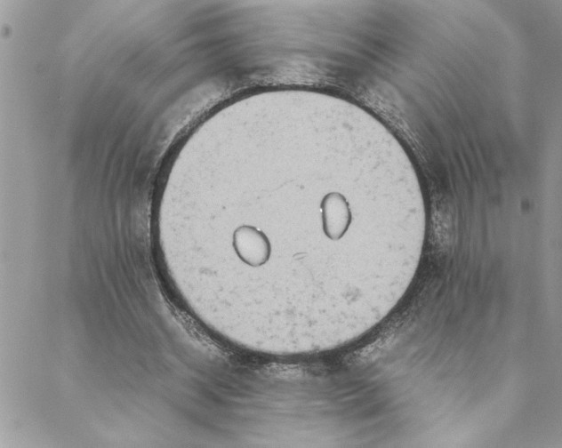 X0000088720534200706141615