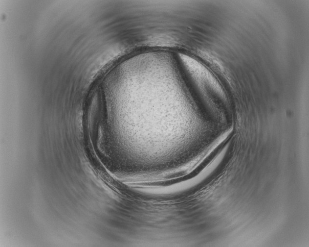 X0000088720535200706141615