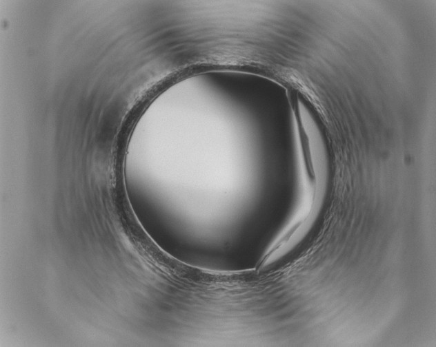 X0000088720536200706141615