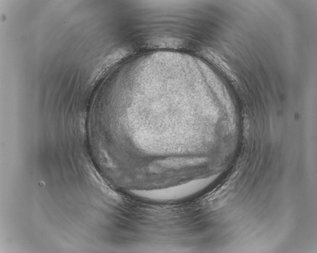 X0000088720537200706141615