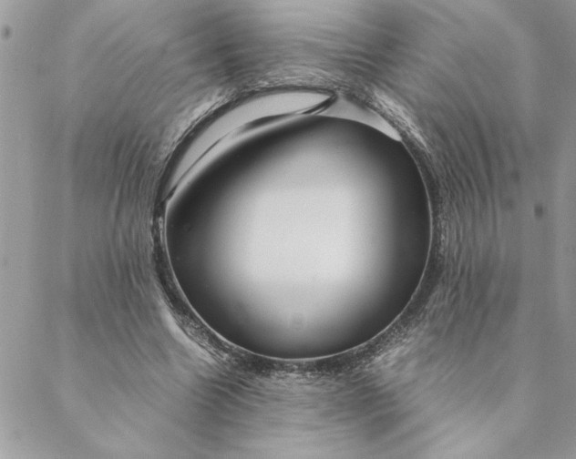 X0000088720538200706141615