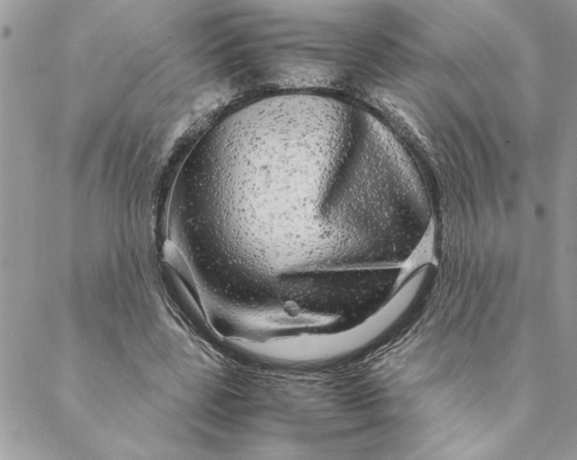 X0000088720539200706141615